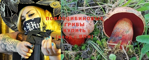 кристаллы Гусев