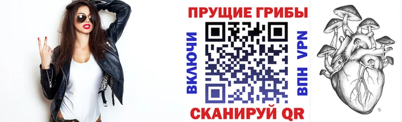Галлюциногенные грибы Magic Shrooms цены Кисловодск