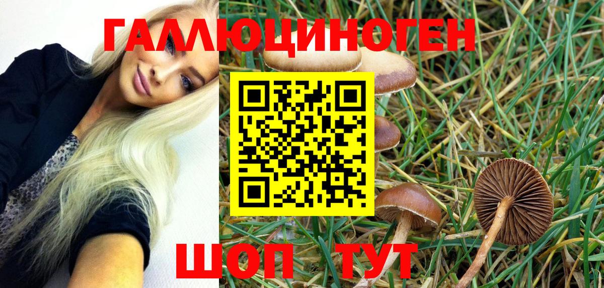 Кисловодск  Галлюциногенные грибы GOLDEN TEACHER  Вход с VPN 