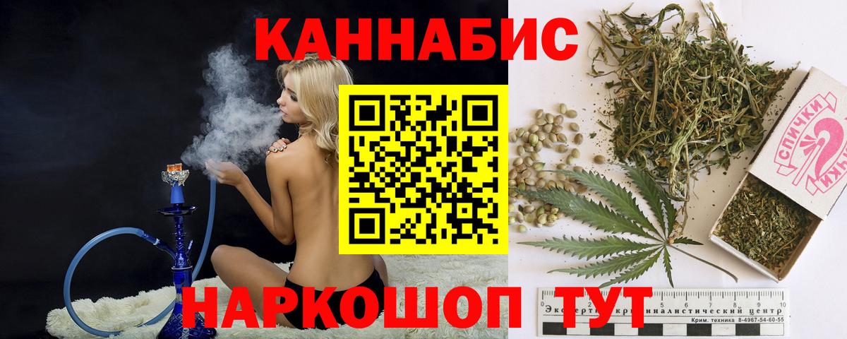 Каннабис планчик Кисловодск